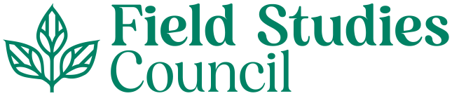 FSC logo
