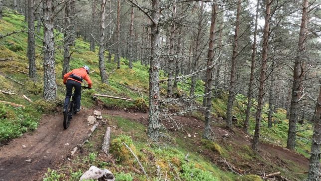 Woodland bike trails near me best sale