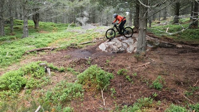 New MTB Trail in Aviemore Glenmore Lodge